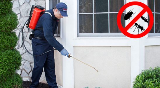 Karahallı Akrep İlaçlama böcek ilaçlama ve haşere kontrolü — ilaclama-tr.com